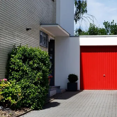 Morillenhang * Akwizgran