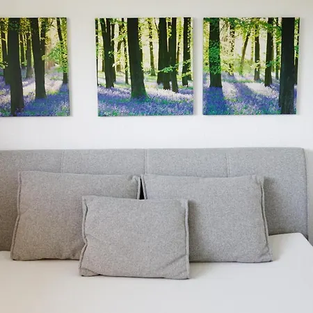 Apartament Morillenhang *